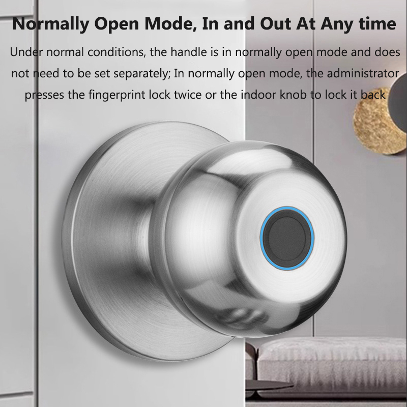 Дверной замок Tuya, умный ключ – обзор и цена Smart Home Door Lock