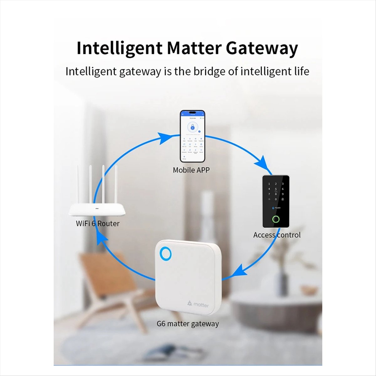 TTLOCK G6 Smart Matter Gateway – обзор и цена Smart Home Router