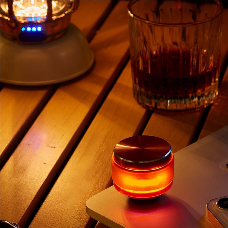 Беспроводная колонка с костной – обзор и цена Smart Home Bone